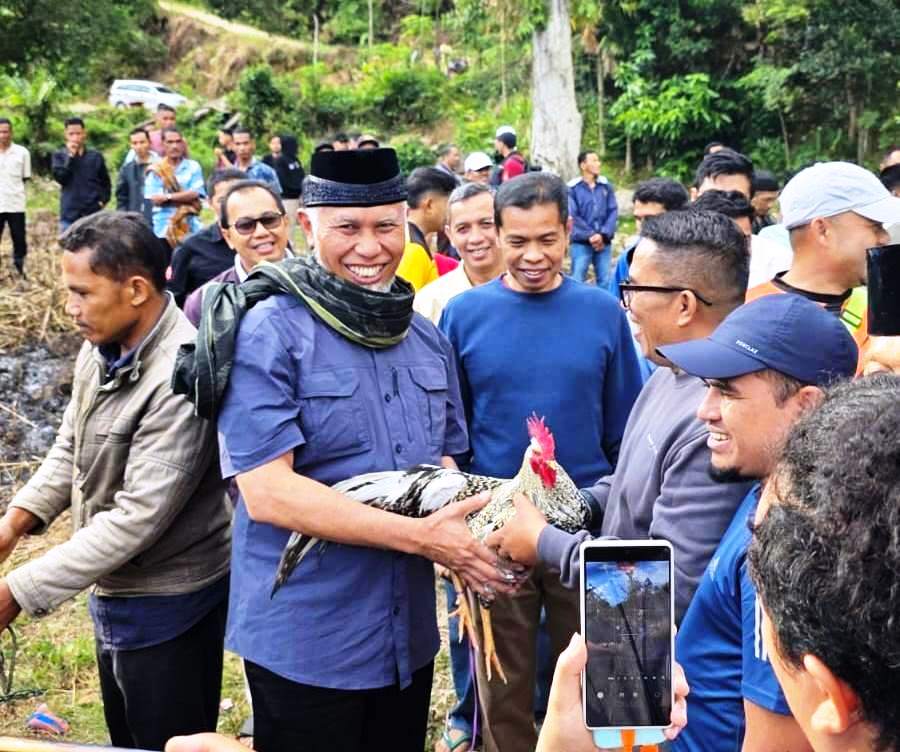 Gubernur Sumbar Salurkan 3 Ekor Sapi Kurban di Tanjung Balik Sumiso dan Garabak Data