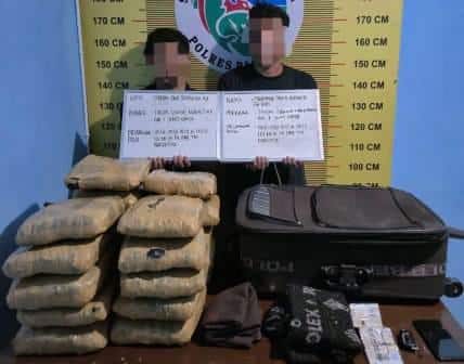 Satresnarkoba Polres Pasaman Gagalkan Peredaran 21 Paket Ganja, 2 Tersangka Ditangkap