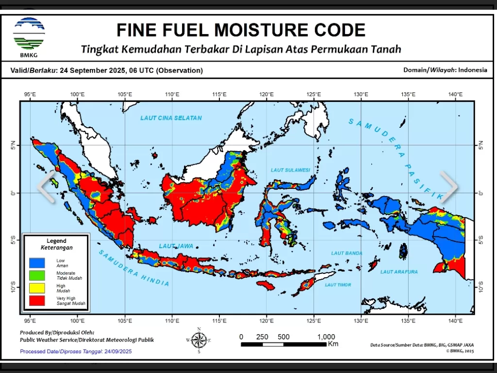Kebakaran Hutan dan Lahan Masih Mengkhawatirkan, BNPB Catat Ribuan Hektare Terbakar
